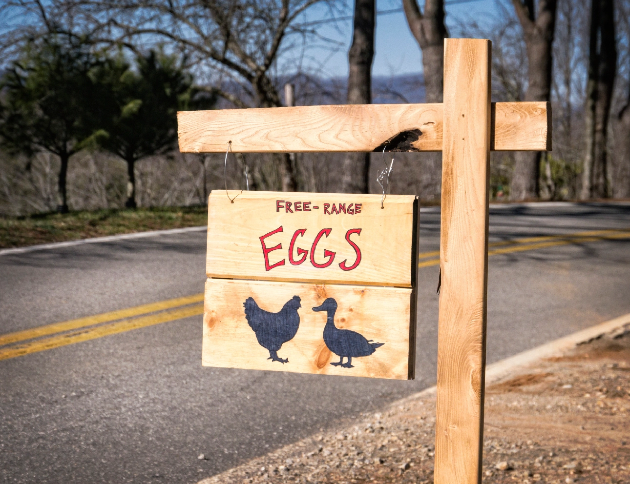 Free-range eggs sign by rural roadside.