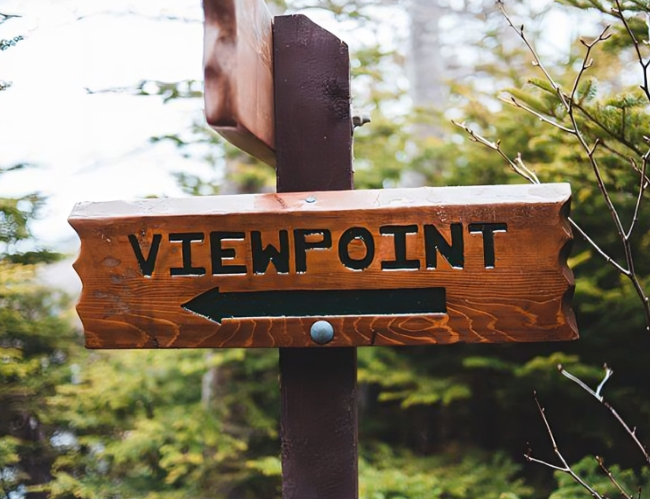 Wooden sign pointing towards viewpoint.