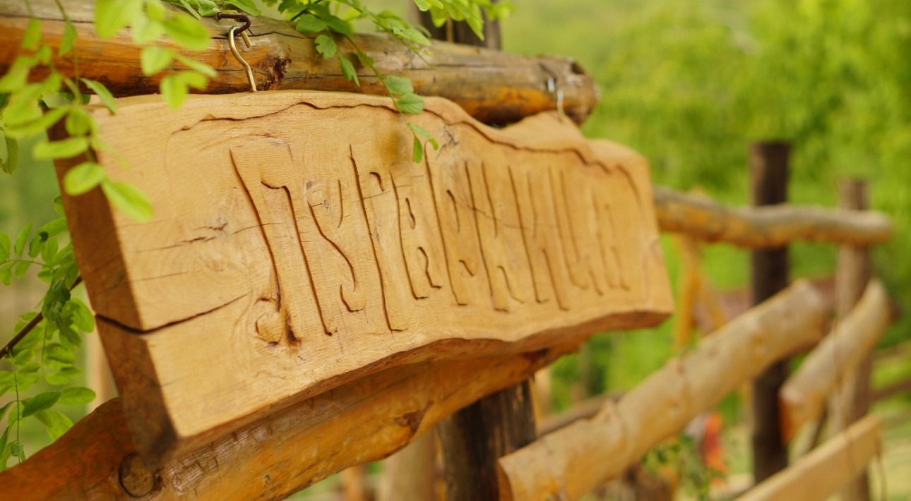 Wooden sign with carved text in nature.